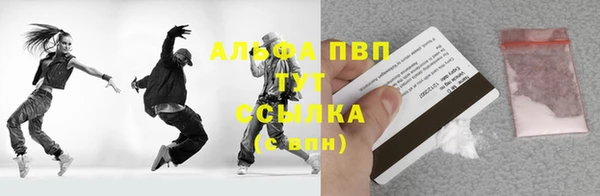 ПСИЛОЦИБИНОВЫЕ ГРИБЫ Заводоуковск