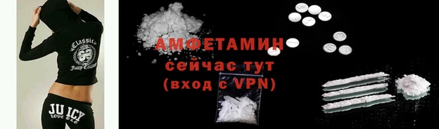 ПСИЛОЦИБИНОВЫЕ ГРИБЫ Заводоуковск