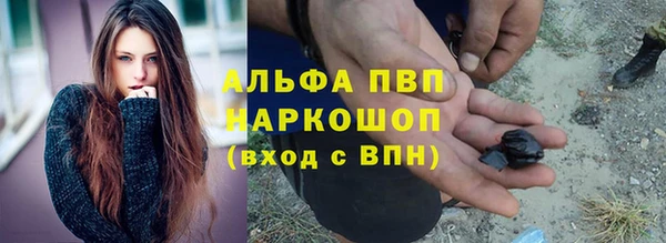 ПСИЛОЦИБИНОВЫЕ ГРИБЫ Заводоуковск