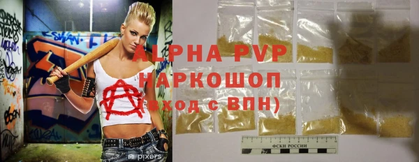 ПСИЛОЦИБИНОВЫЕ ГРИБЫ Заводоуковск