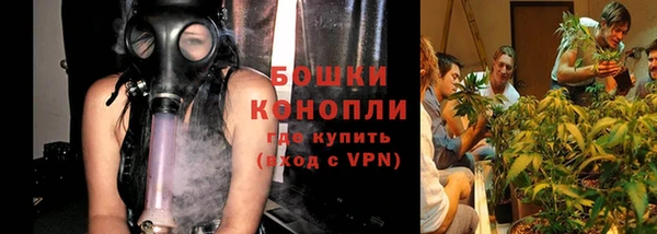ПСИЛОЦИБИНОВЫЕ ГРИБЫ Заводоуковск