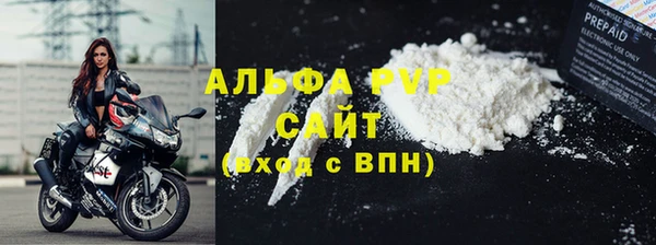 ПСИЛОЦИБИНОВЫЕ ГРИБЫ Заводоуковск