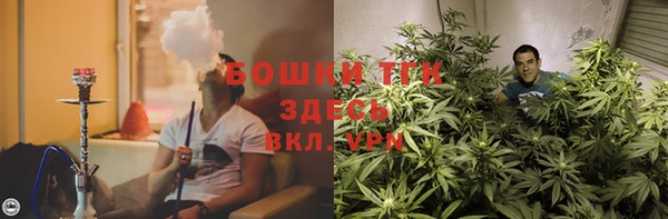 ПСИЛОЦИБИНОВЫЕ ГРИБЫ Заводоуковск