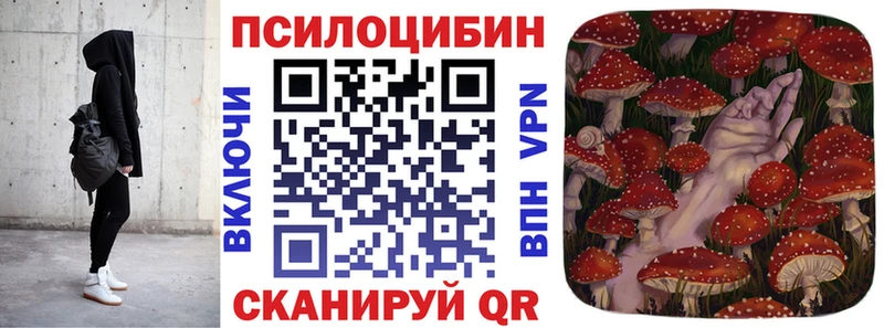 Псилоцибиновые грибы GOLDEN TEACHER  закладка  Славгород 