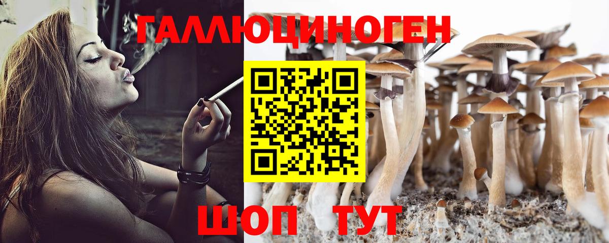 Галлюциногенные грибы Psilocybine cubensis Славгород