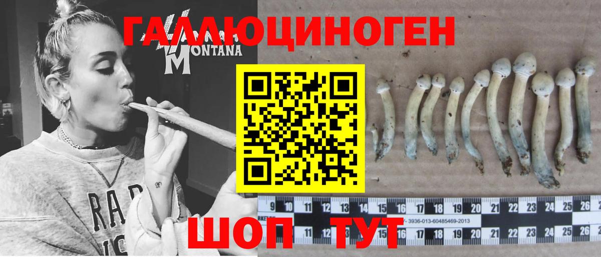 Галлюциногенные грибы Cubensis  Славгород 