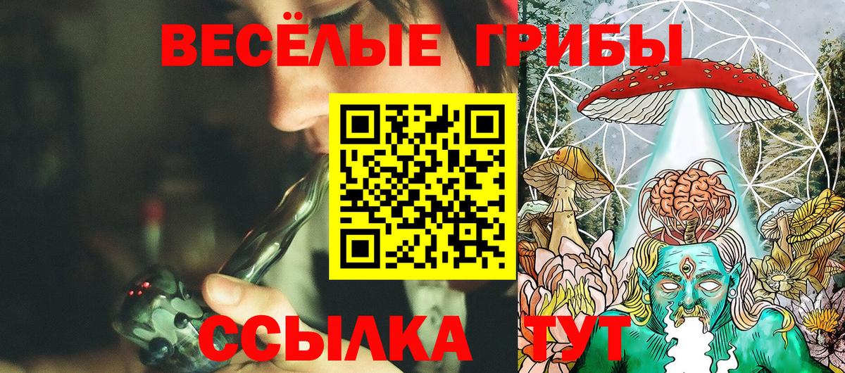 Псилоцибиновые грибы Psilocybine cubensis  купить   Славгород  Вход с VPN 