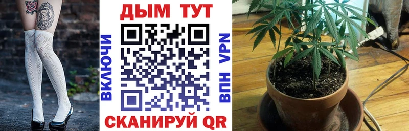 Марихуана индика  Славгород 